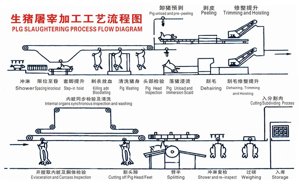 陜西 豬屠宰工藝流程