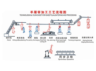 臨沂羊屠宰工藝流程