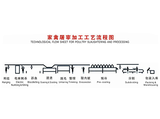 錦州家禽屠宰工藝流程當(dāng)前